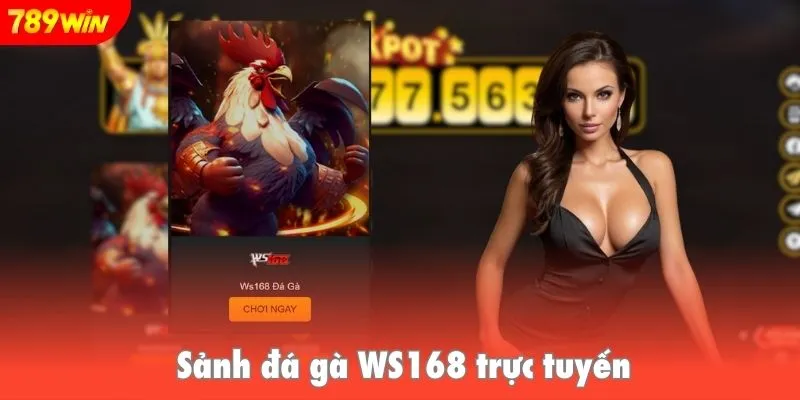 Sảnh đá gà WS168 trực tuyến